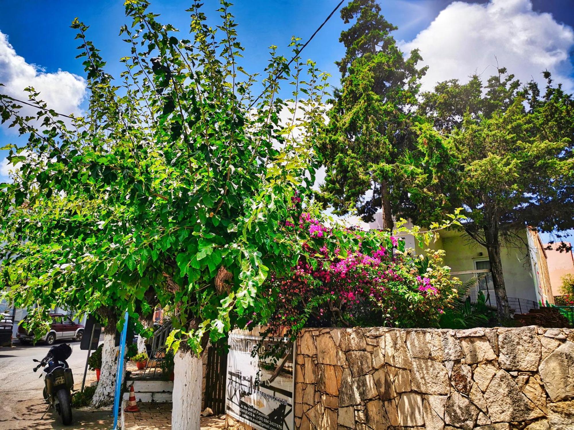Ble Residence, Your Home Away From Home Panormos  Ngoại thất bức ảnh